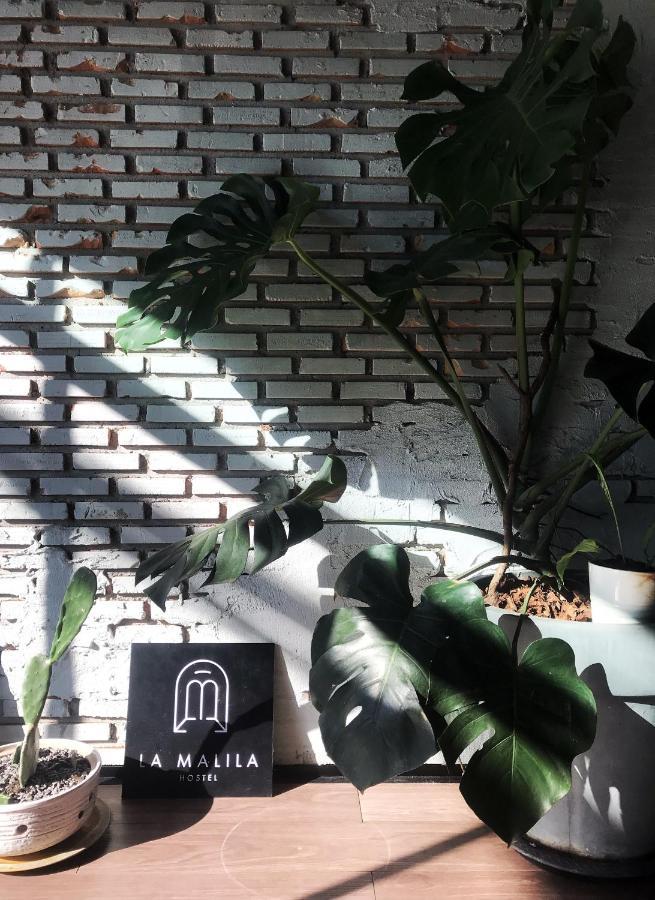 La Malila Hostel Удон-Тхани Экстерьер фото
